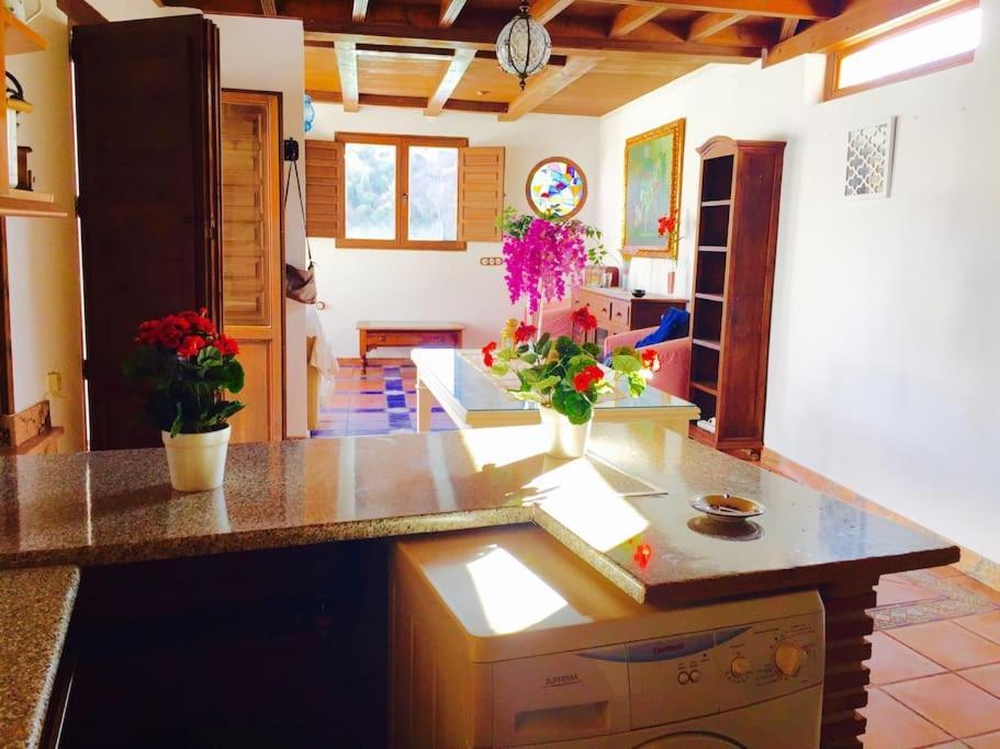 Apartament La Rochina Grenada Zewnętrze zdjęcie